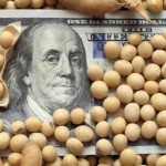 Export kedelai Amerika Serikat collapse,… akibat China gak lagi import dari Amerika Serikat …???