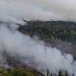 52 perusahaan asal Malaysia dan Singapore terlibat kebakaran hutan,… lha kok netizennya protest ke Indonesia …???
